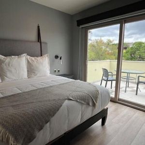 Suite Terrace
